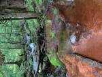 雨漏り日陰の湯