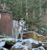 おかみよりご挨拶