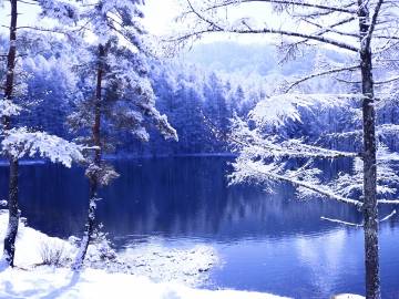 また雪化粧